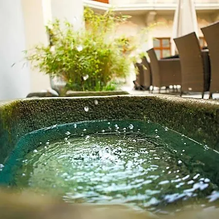 Hotel U Zlateho Jelena 4*