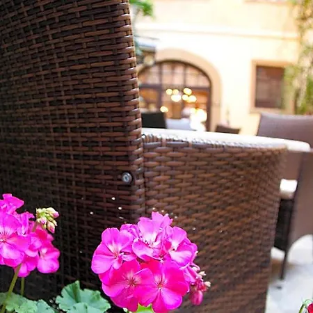 Hotel U Zlateho Jelena