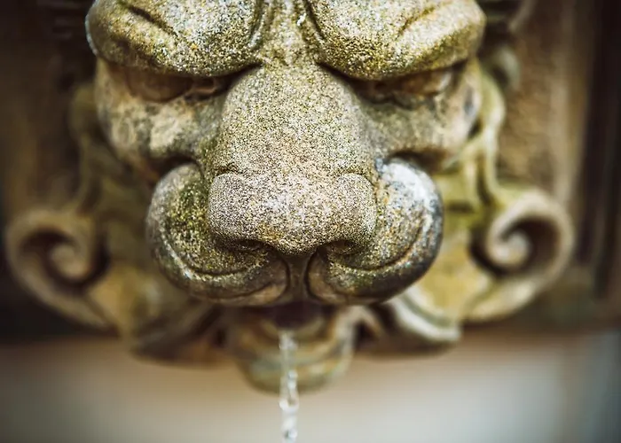 Hotel U Zlateho Jelena 4*