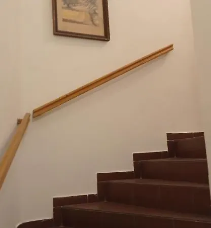 U Zlateho Jelena Hotel Praha