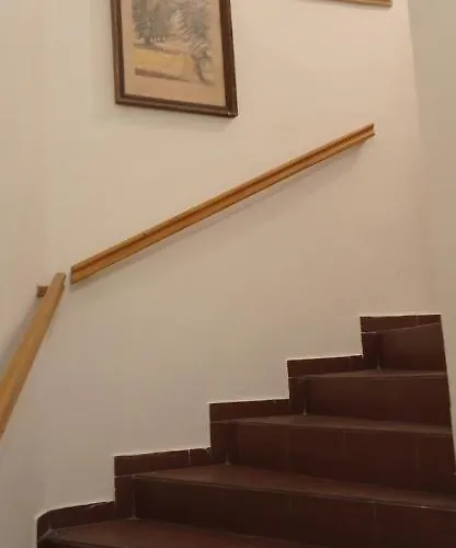 U Zlateho Jelena Hotel Praha
